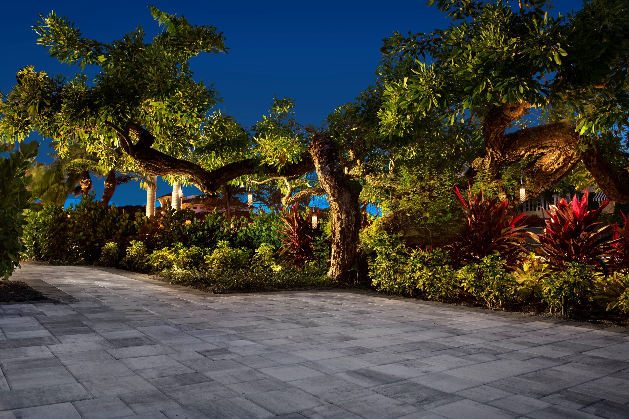 Proper fixture placement for illuminating large canopy trees from multiple angles